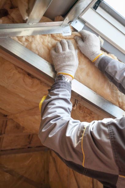 Best Professional Insulation Contractor  in Russell Springs, KY